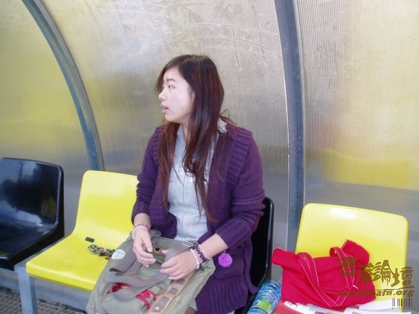 镜花水月的毛球挺可爱!!!